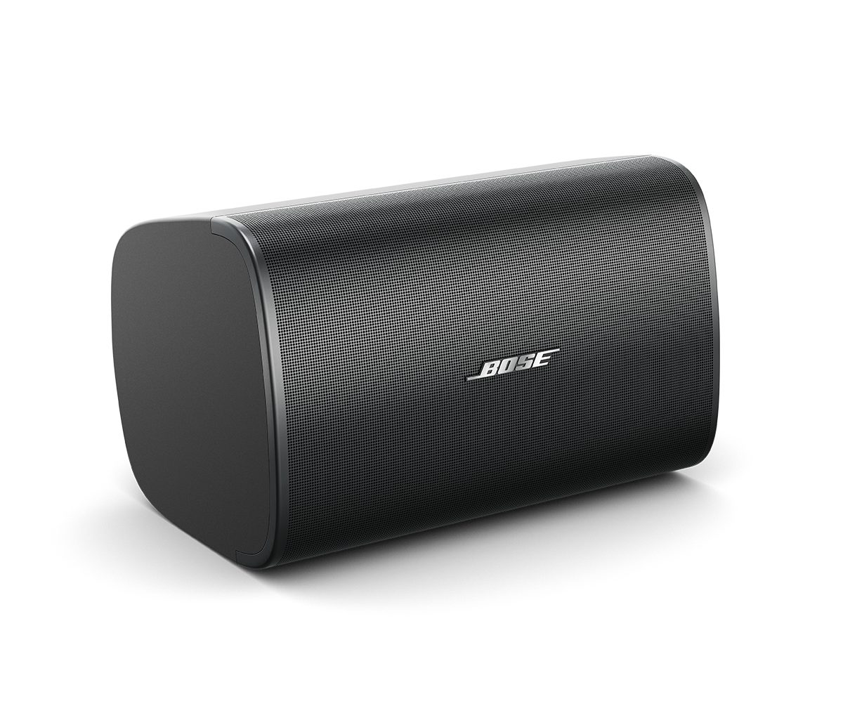 Bose Professional DesignMax DM8SE